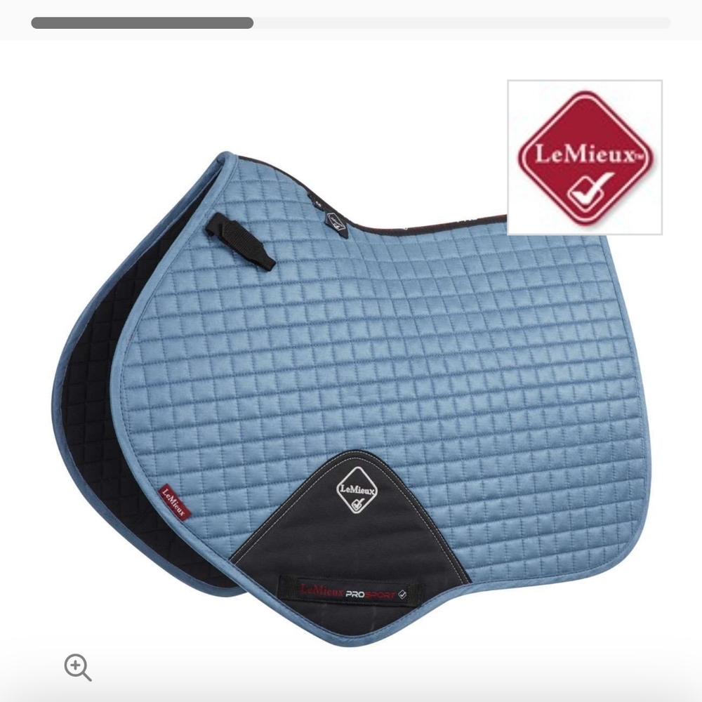 ISO le mieux horse anything